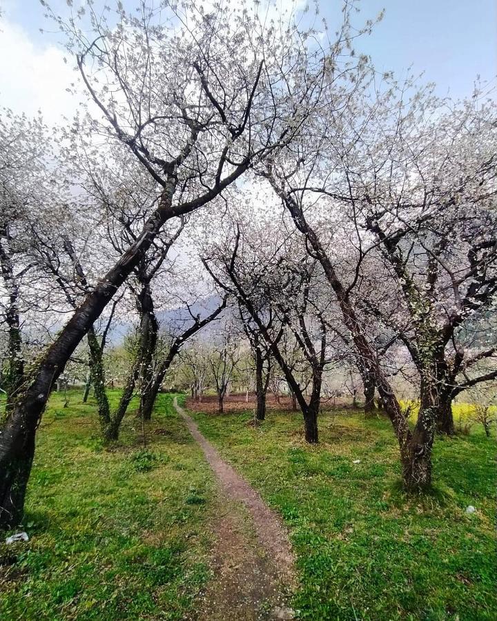 Farm Hostel And Camps Manāli Dış mekan fotoğraf